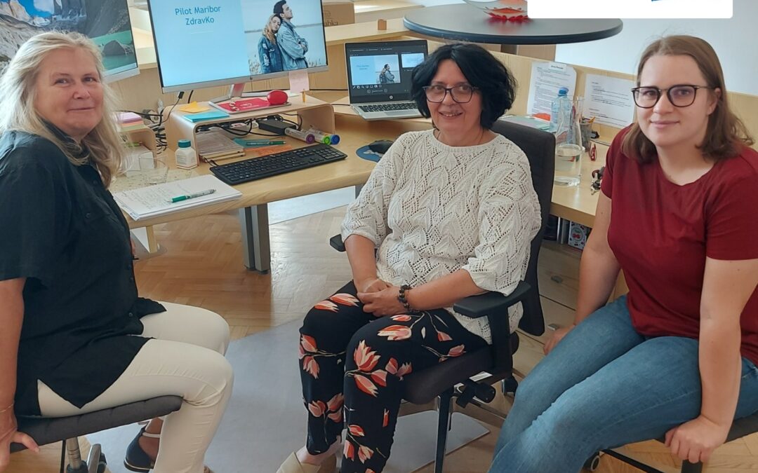 Advancing Social Welfare in Maribor