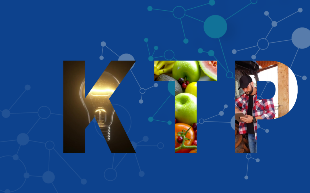 Food4CE project launches the Knowledge Transfer Platform: a tool to support logistics innovation and sustainability of Alternative Food Networks