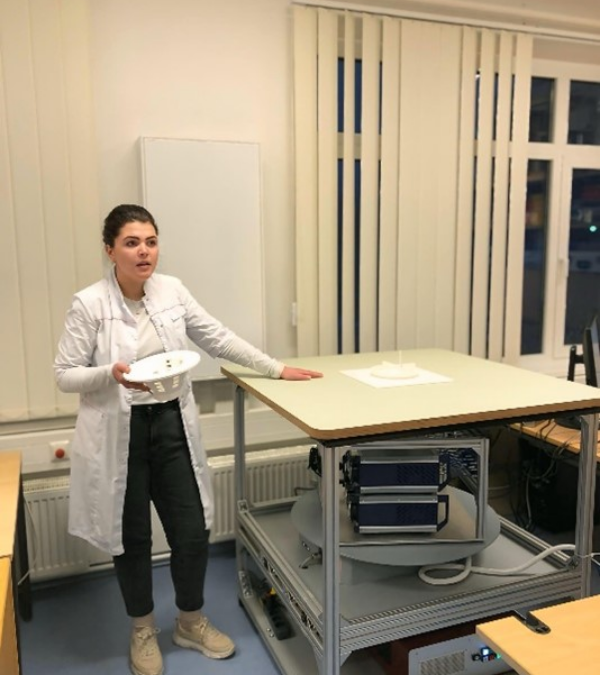 Opening Doors to Discovery: A Lab Experience for Bachelor Students