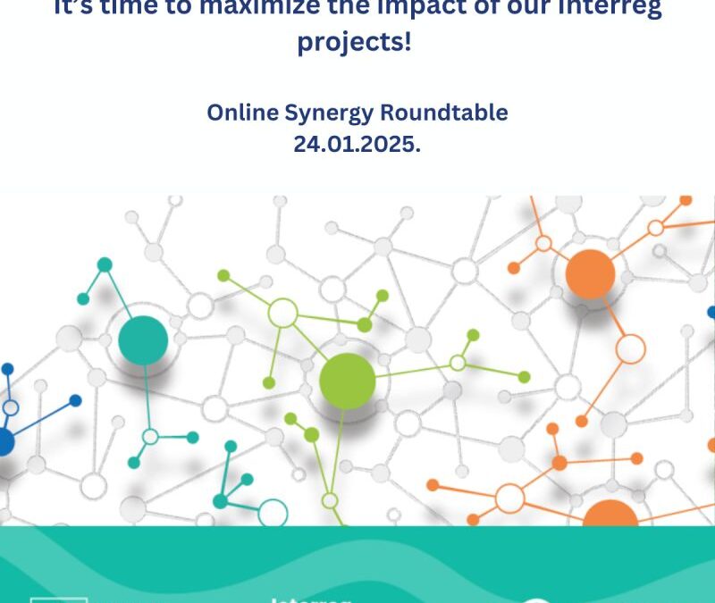 The roundtable hosted by DigiCare4CE