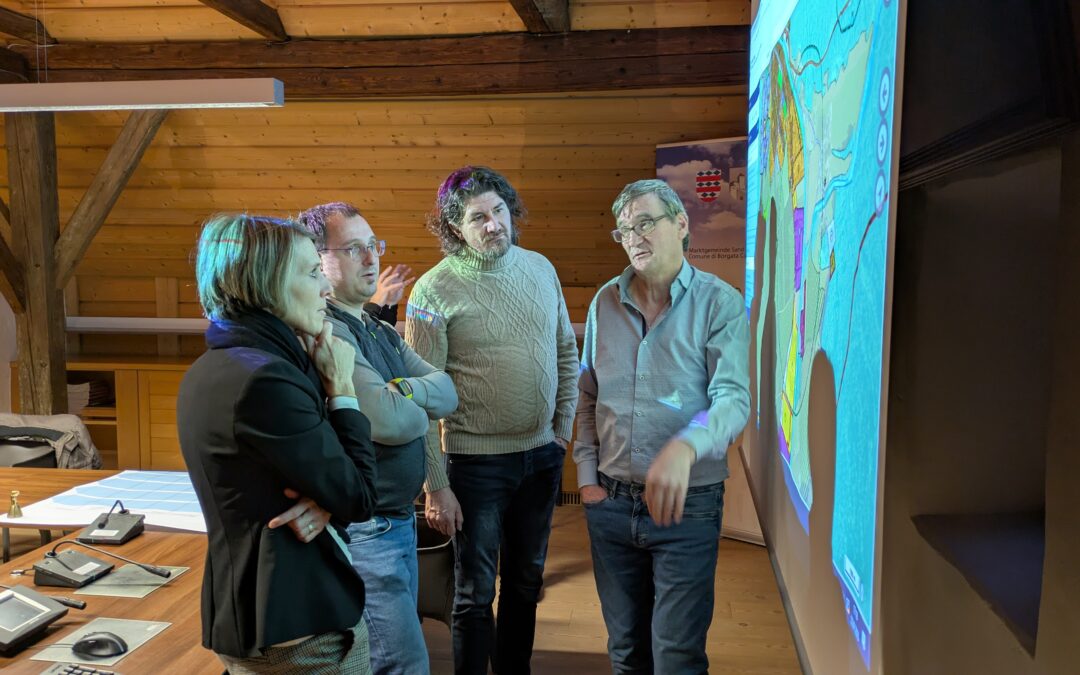 ParkPAD Audit Findings in Sand in Taufers and Bruneck