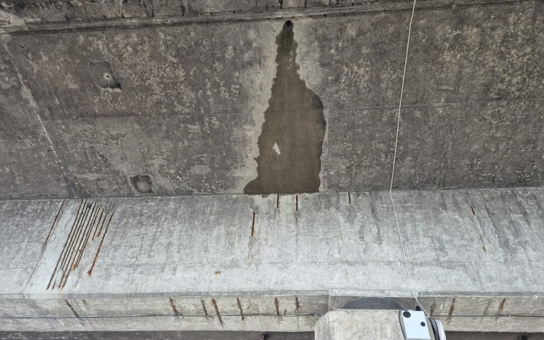 Installation at the Tomačevo Bridge