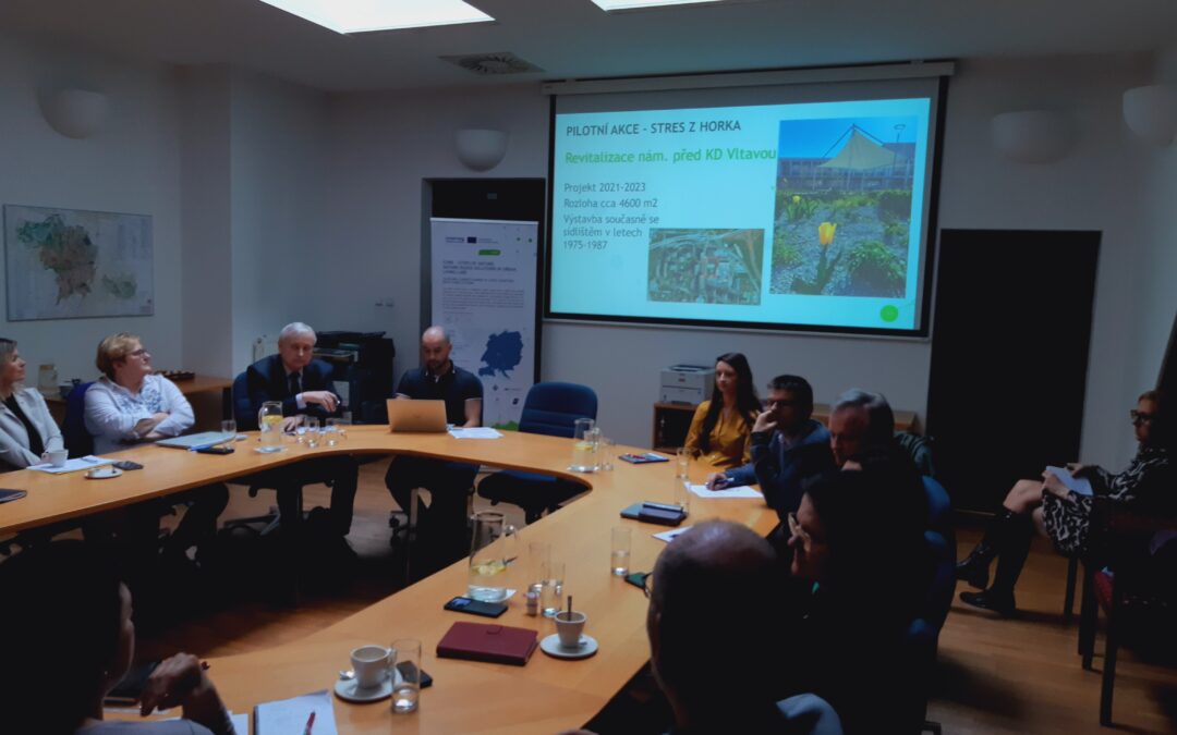 Living Lab in České Budějovice: Stakeholder meeting