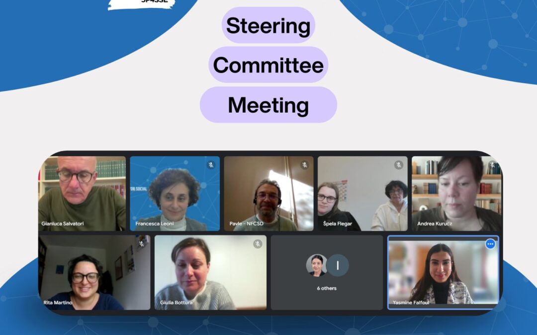 3P4SSE Steering Committee Meeting