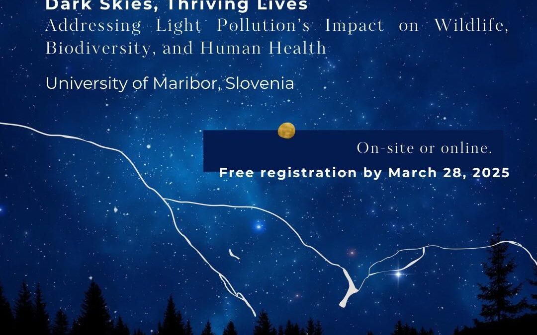 ADRISKY Project Conference