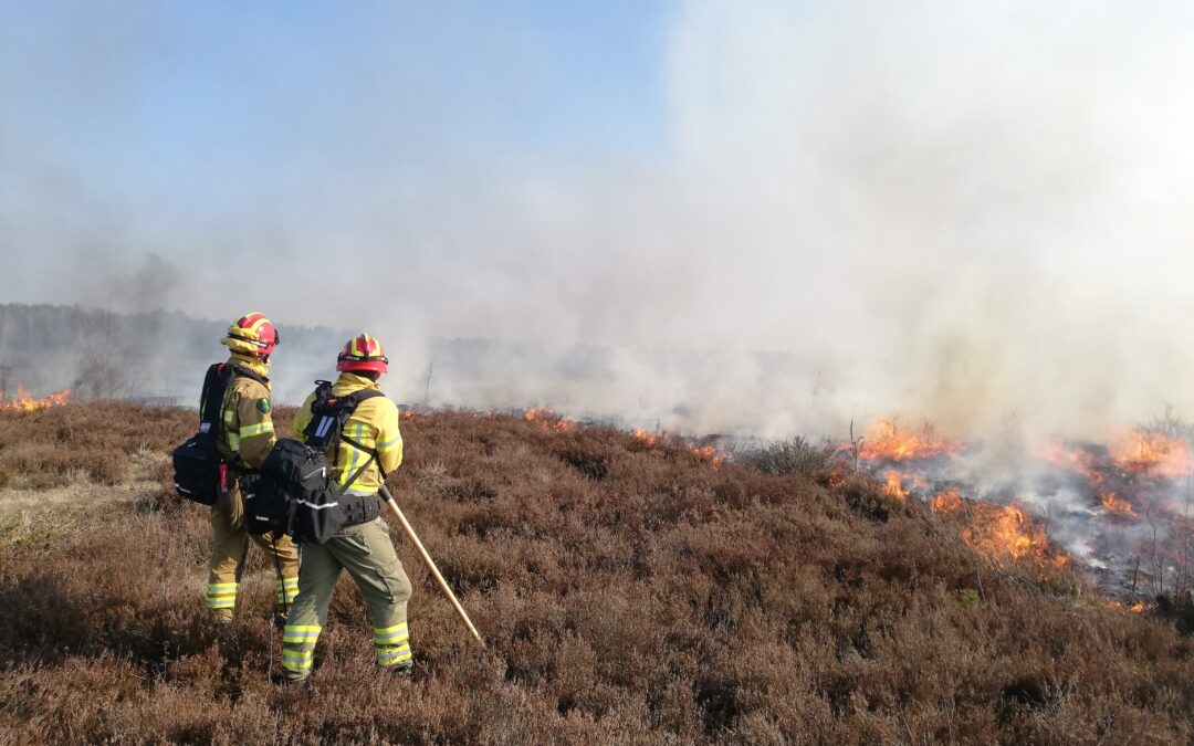 Prescribed burning in Poland