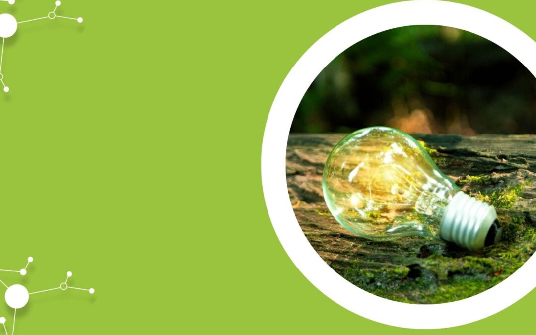 Exploring S3 Strategies for Sustainable Growth