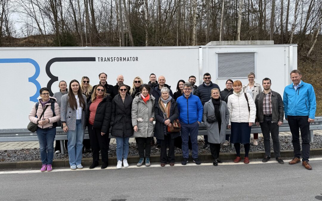 Green LaMiS Project: Highlights from the Passau Meeting