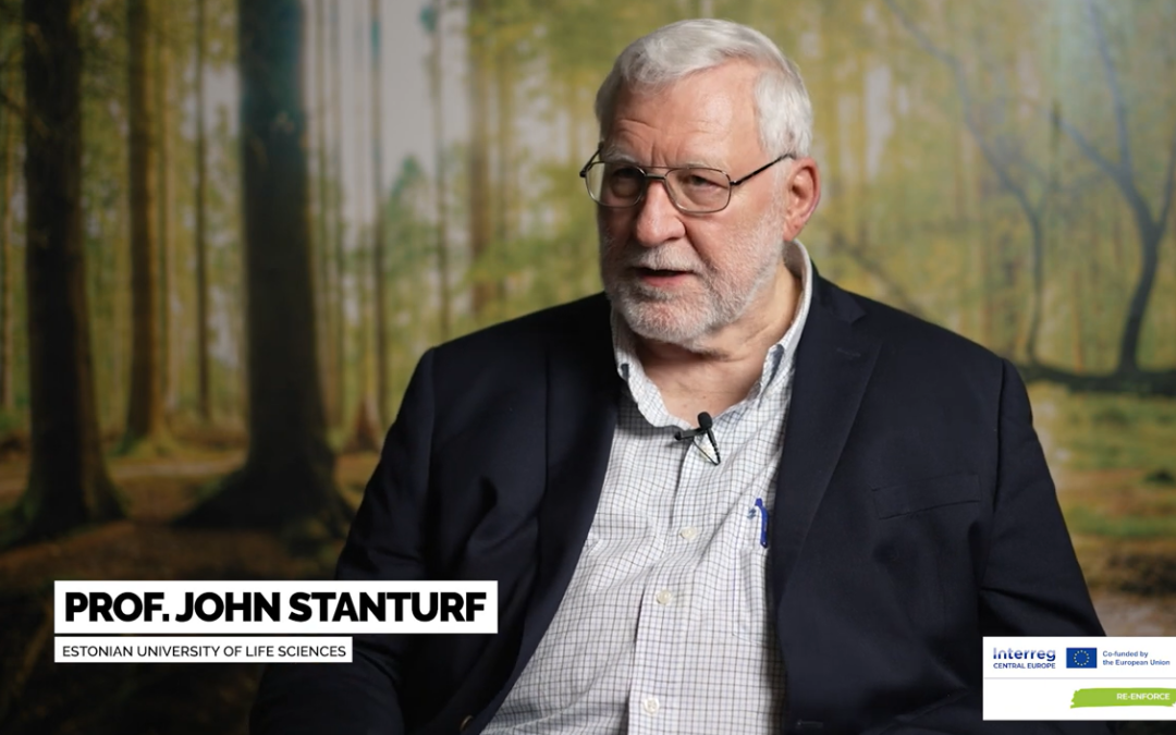 Talk with Prof. John Stanturf