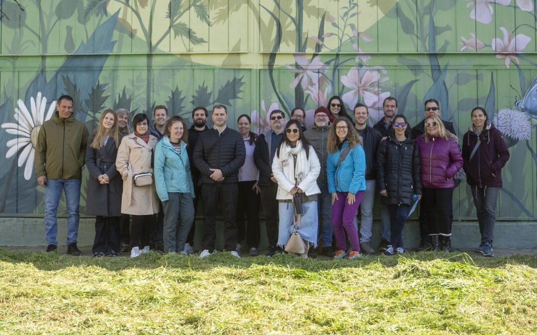 TRANSGEO Project Meeting held in Szeged, Hungary
