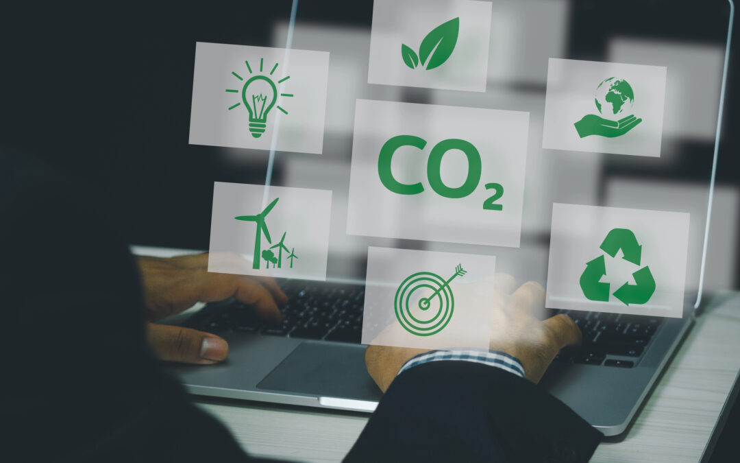 How we are going to show love for our planet? Our next steps in detail