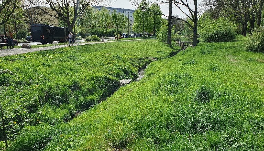 Spring walk along Geberbach in Dresden