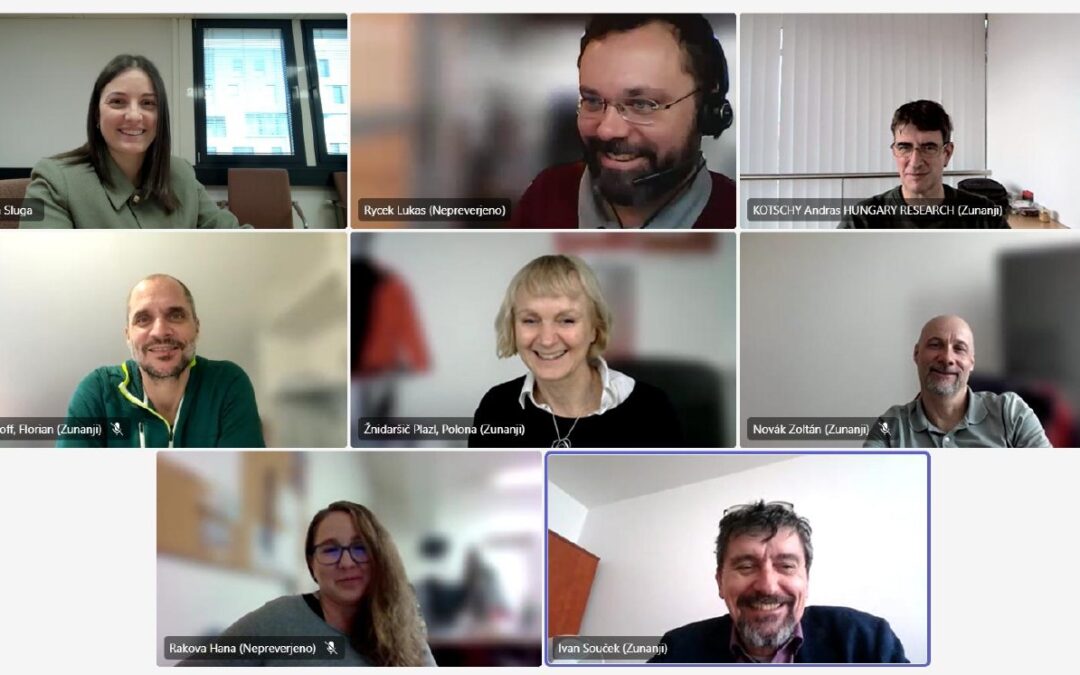 Online project meeting