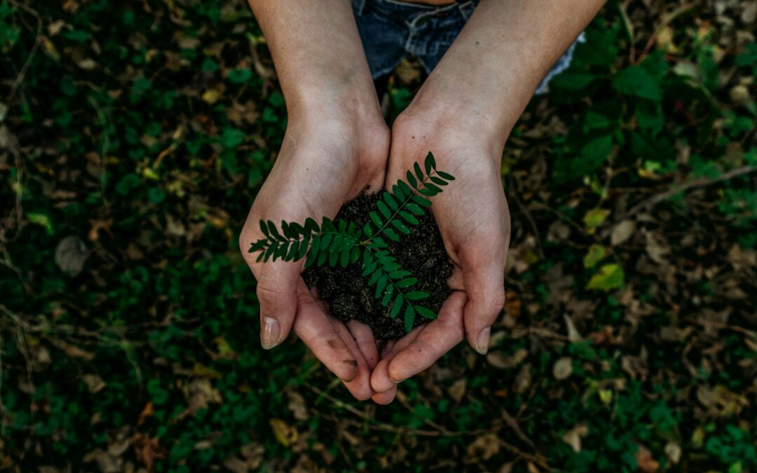From ESG to Transformative Impact: How FI4INN is Rethinking Sustainability Measurement