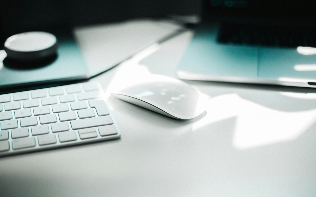 Jobs: We are looking for a Programme Officer