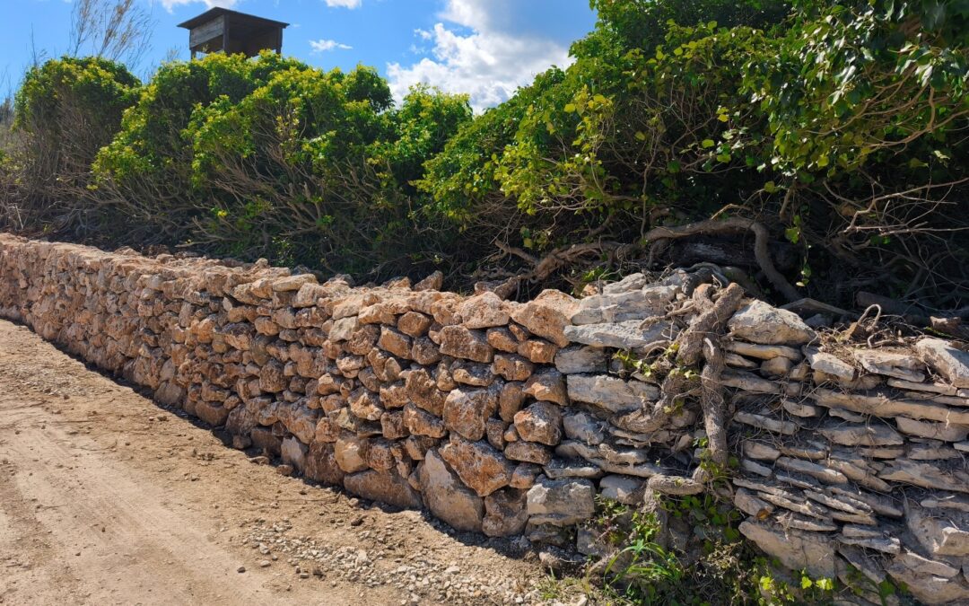 Preserving Heritage, Protecting Nature: Dry Stone Wall Workshop Completed on Lower Kamenjak