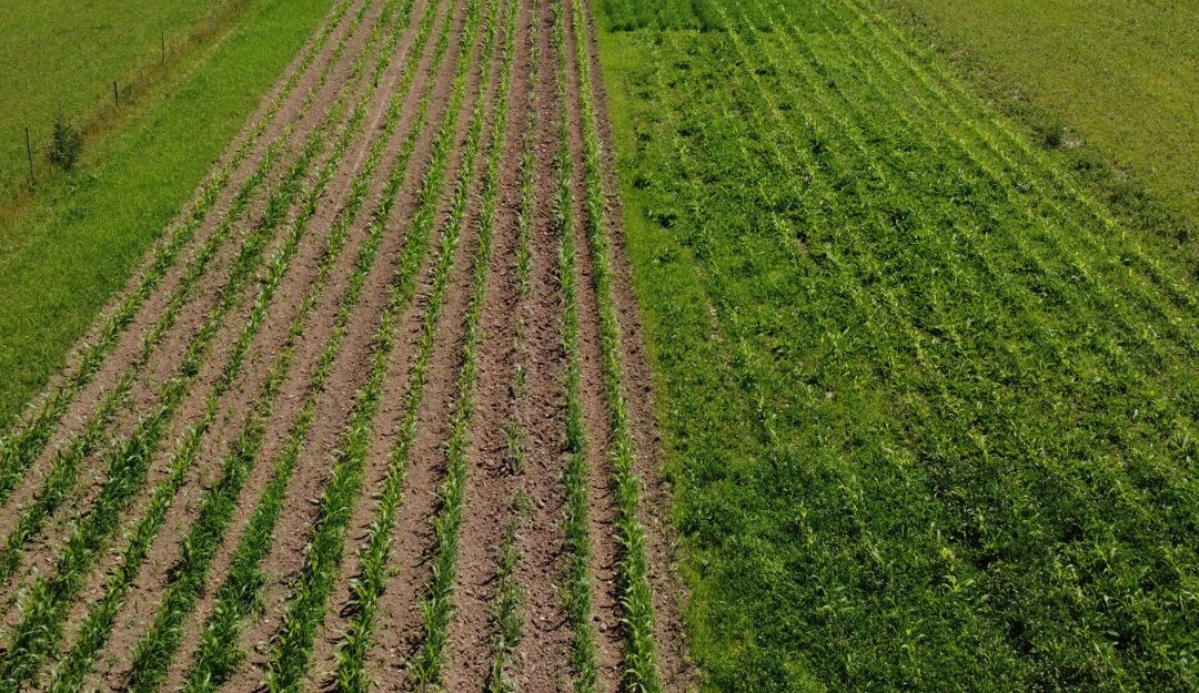 A1.3 Capacity building for carbon farming techniqes – Slovenia