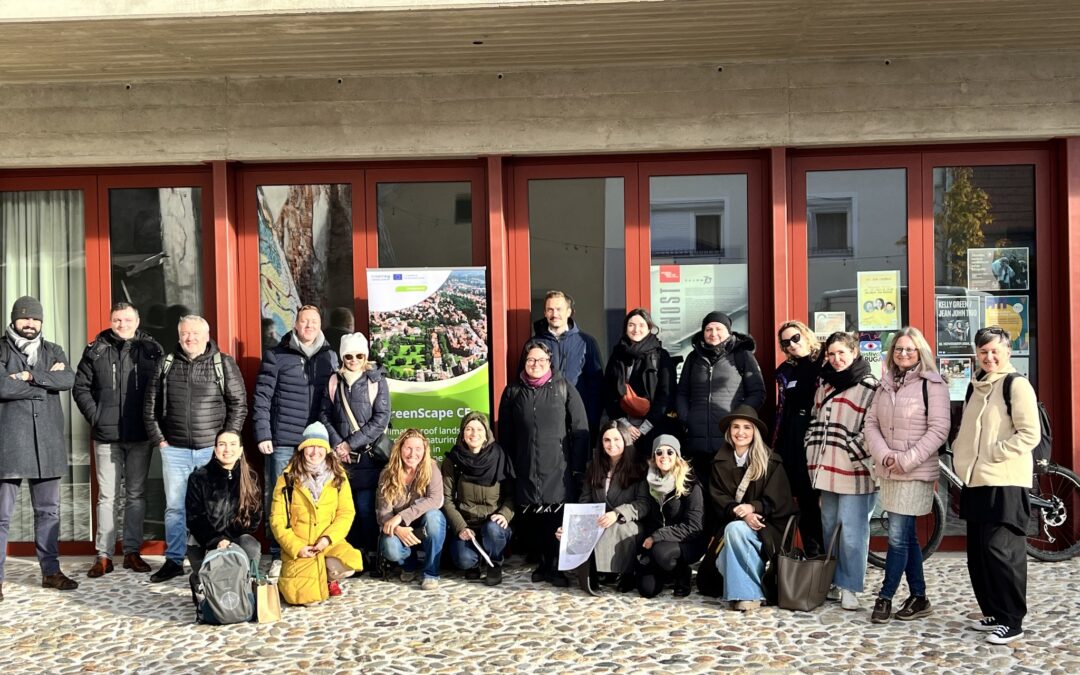 Making grey cities greener