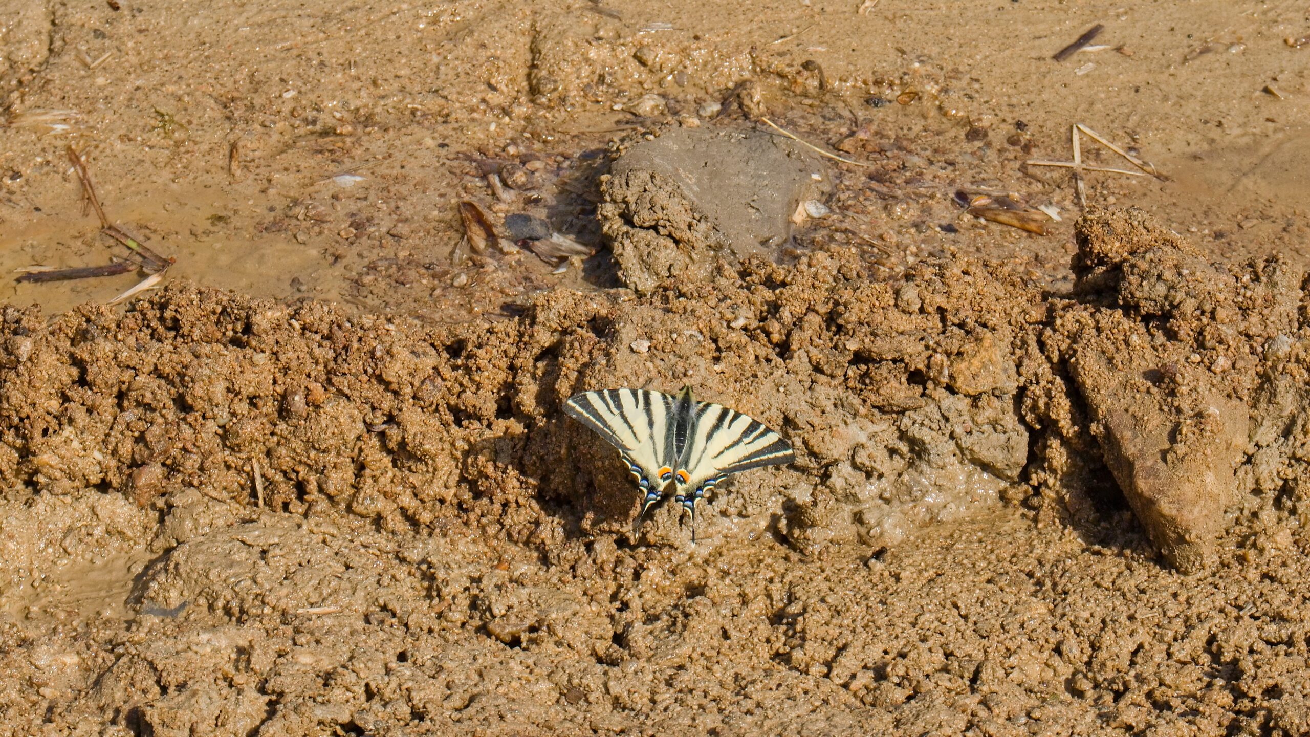 ReCo project_ News_CR Podyjí National Park_2