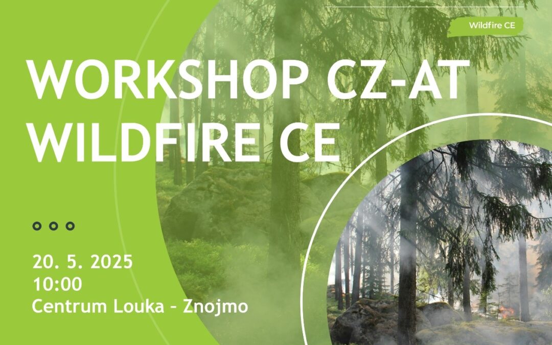 Workshop in Znojmo Connects Czech and Austrian Firefighters in the Fight Against Forest Fires