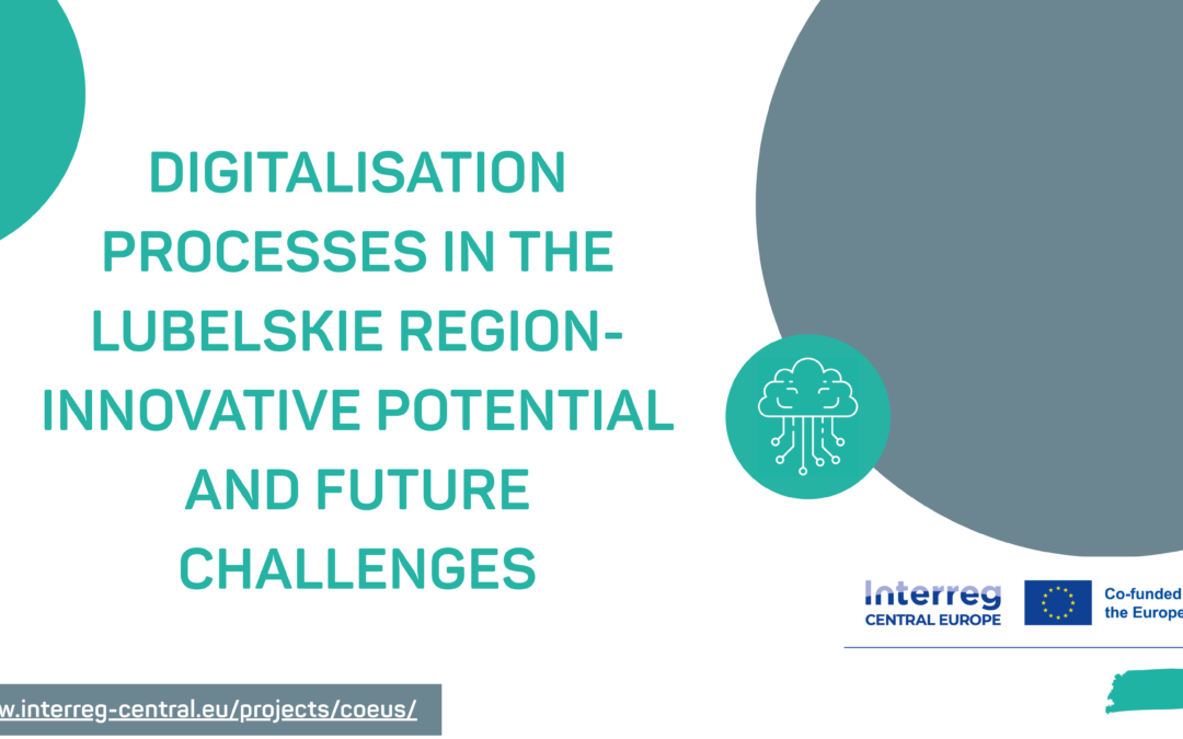 Digitalisation processes in the Lubelskie Region- innovative potential and future challenges