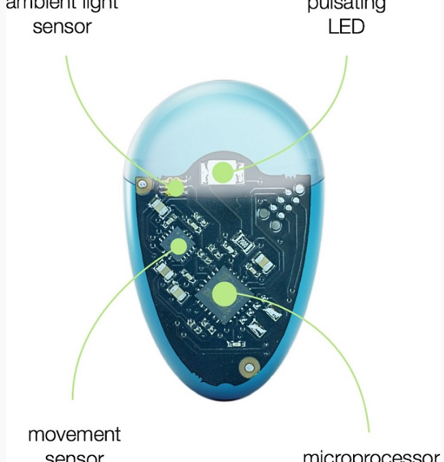 TECOS: Smart Hydration Reminder as an Example of Circular Innovation