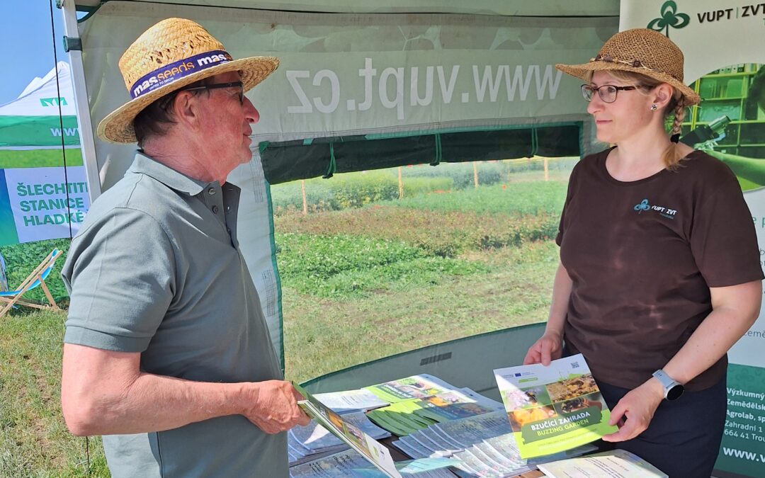Summer Buzz with the BIOECO-UP Project in the Days of Fascination with Plants