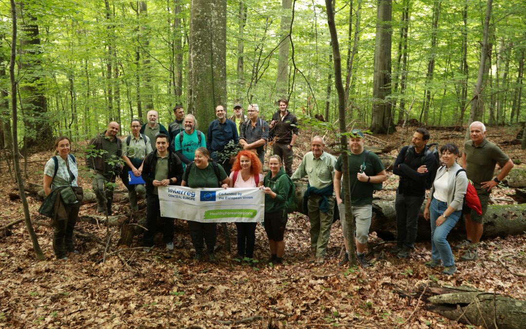 Face2Face Project Meeting in Slovakia