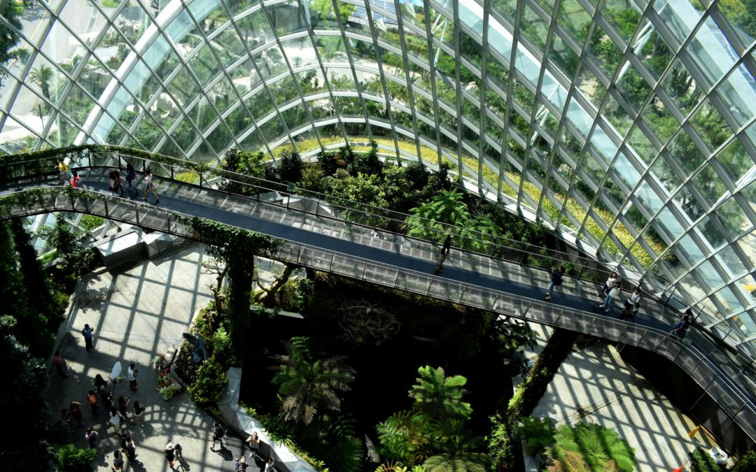 Innovation Beyond Capitals: Smarter Finance for Central Europe’s Transformation