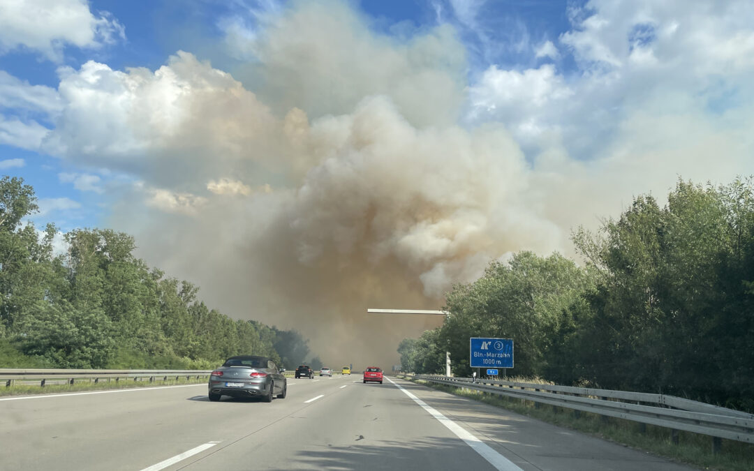 Field fire season starts as barley harvest meets heat wave in Germany