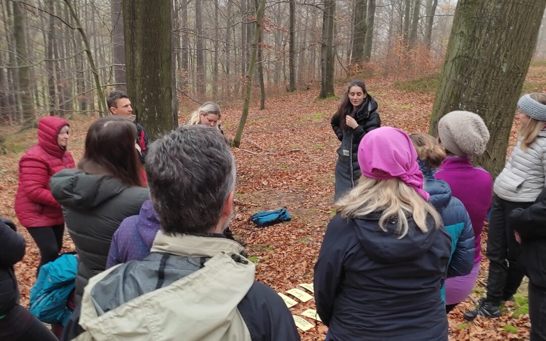 Nature therapy training “Forest Mind” in Hejnice, Czechia