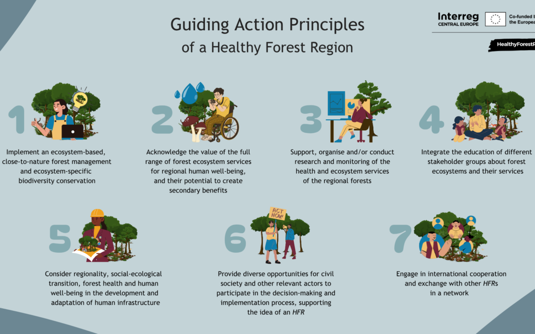 What should a Healthy Forest Region commit to?