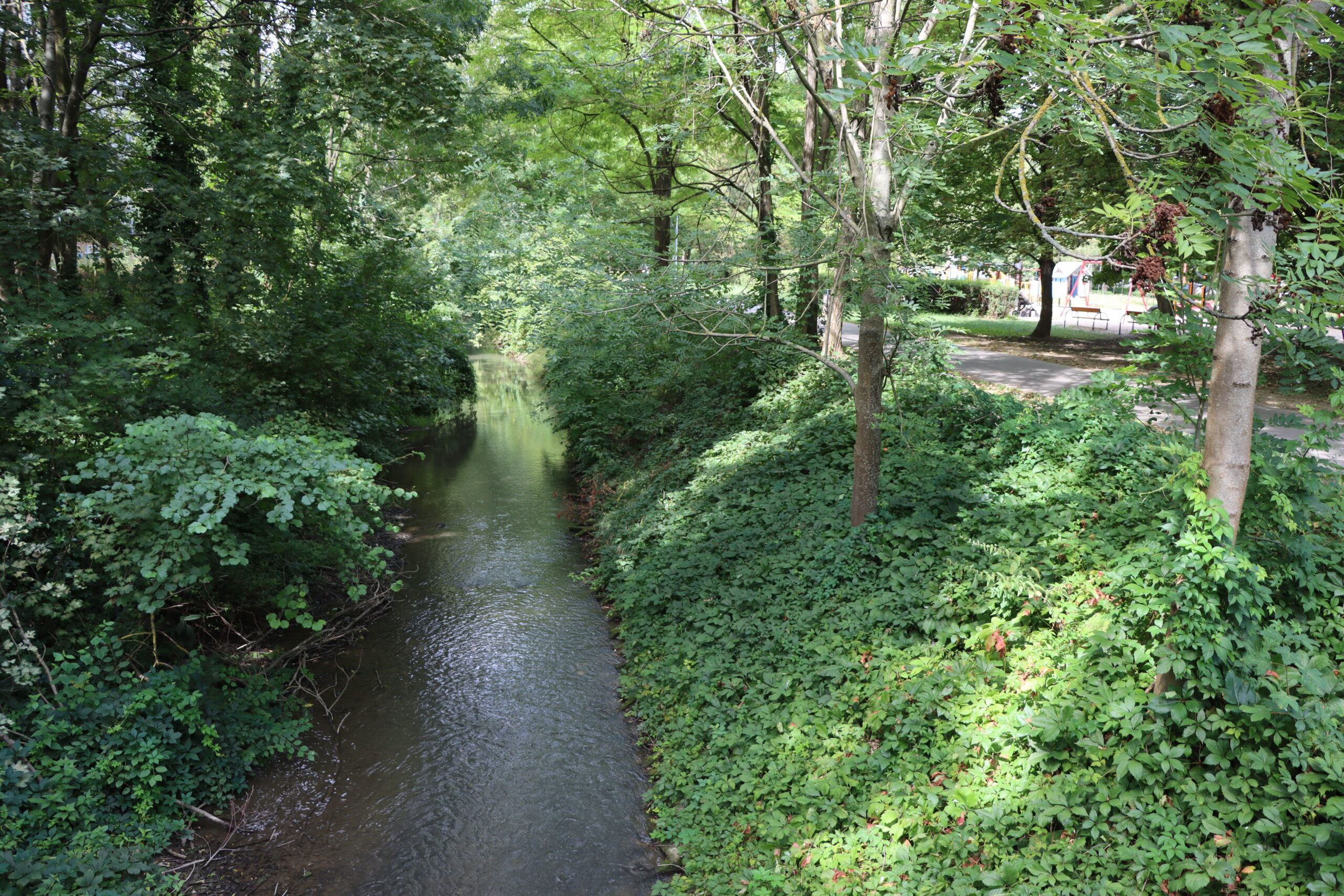 Teplica stream in Senica, Slovakia