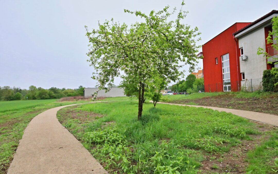 Urban Living Lab in Břeclav (CZ)