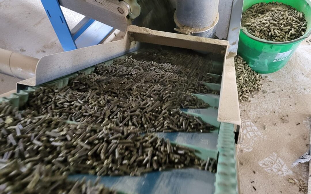 Smart use of hemp byproducts