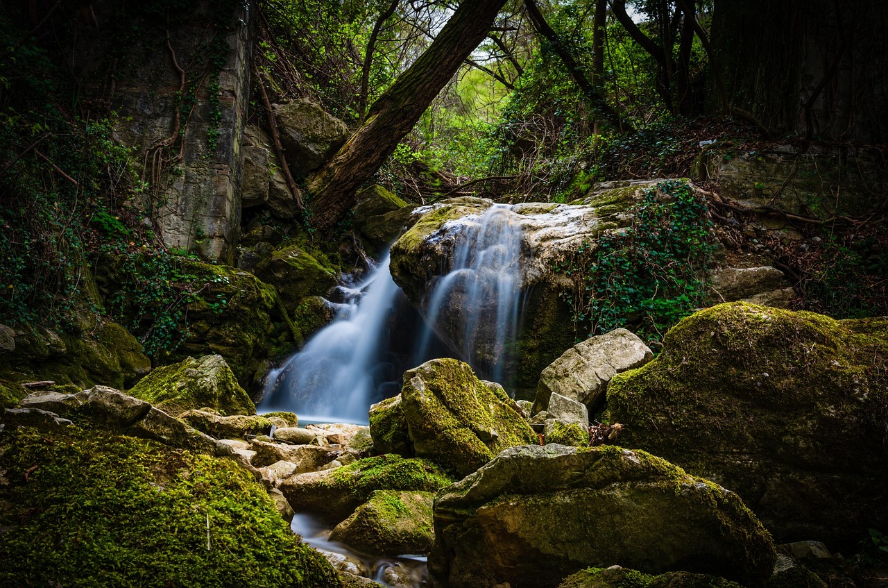 stream