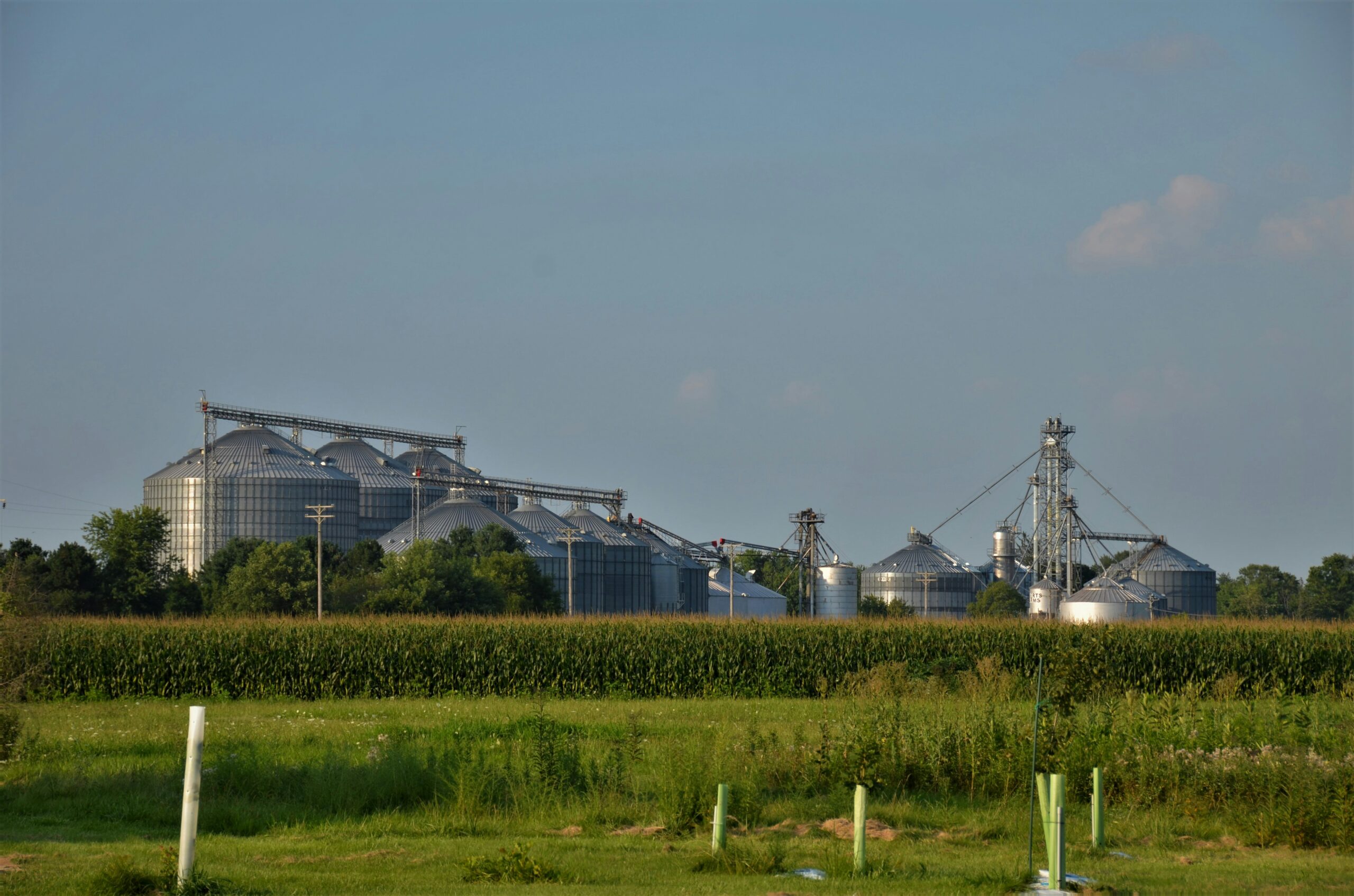 green-grass-field-near-white-wind-turbines-during-daytime