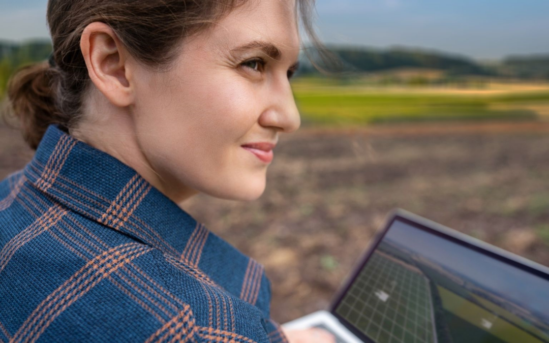 Towards the post-2027 Common Agricultural Policy (CAP): flexibility, targeted support and synergies for a more sustainable agriculture