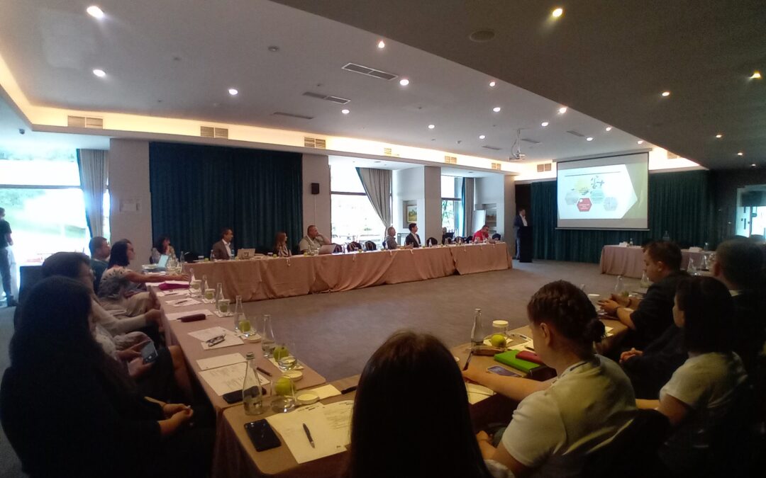 Interregional Meeting in Brasov