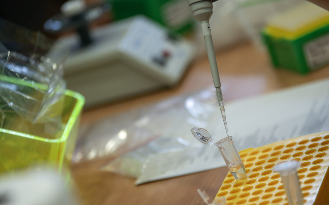 HUMANITA Summer School 2025: A Resounding Success in Environmental Monitoring Training and Empowering Future Nature Managers