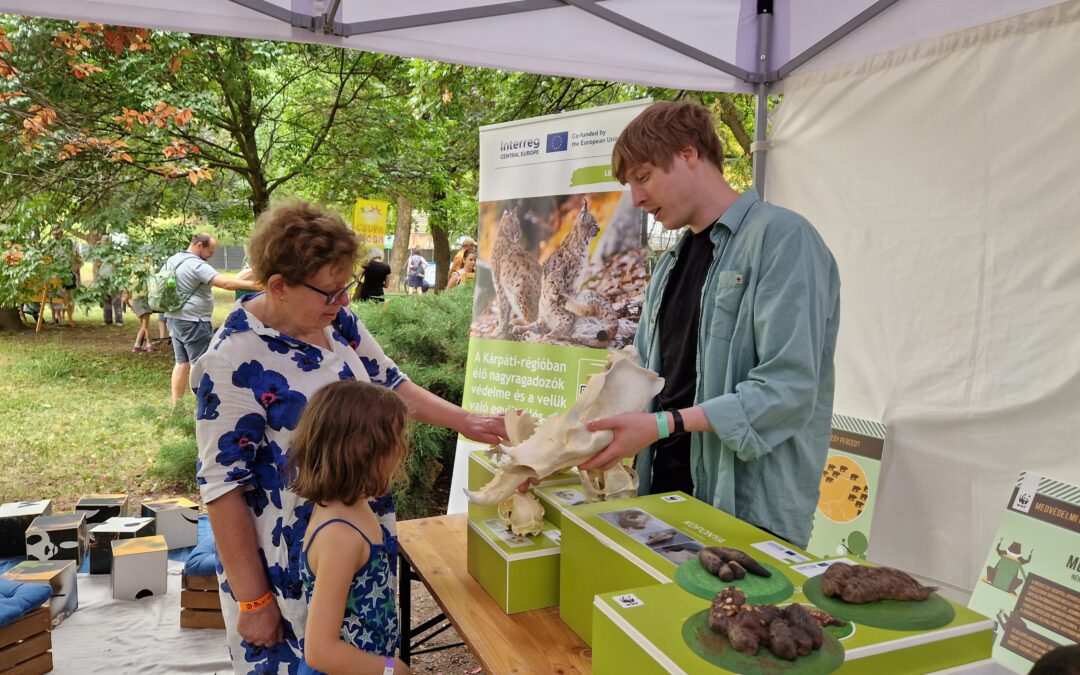 WWF Hungary took large carnivores to the Kaláka folk fest