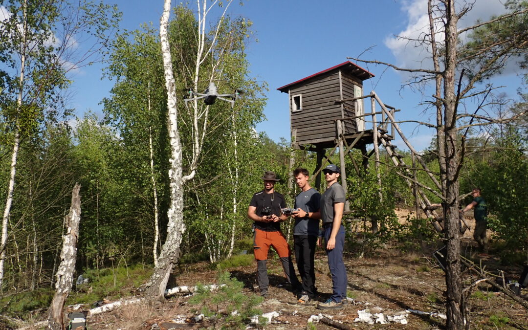 🚀🌲 RE-ENFORCE field update from Poland!