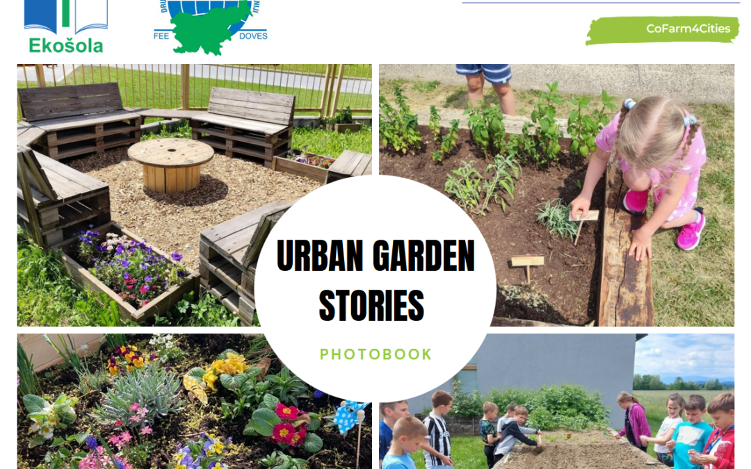 Urban Garden Stories: Slovenian Schools Bring Urban Farming to Life