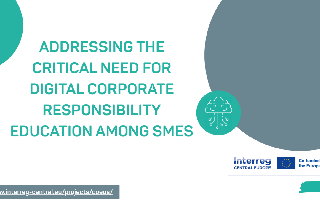 Addressing the Critical Need for Digital Corporate Responsibility Education Among SMEs