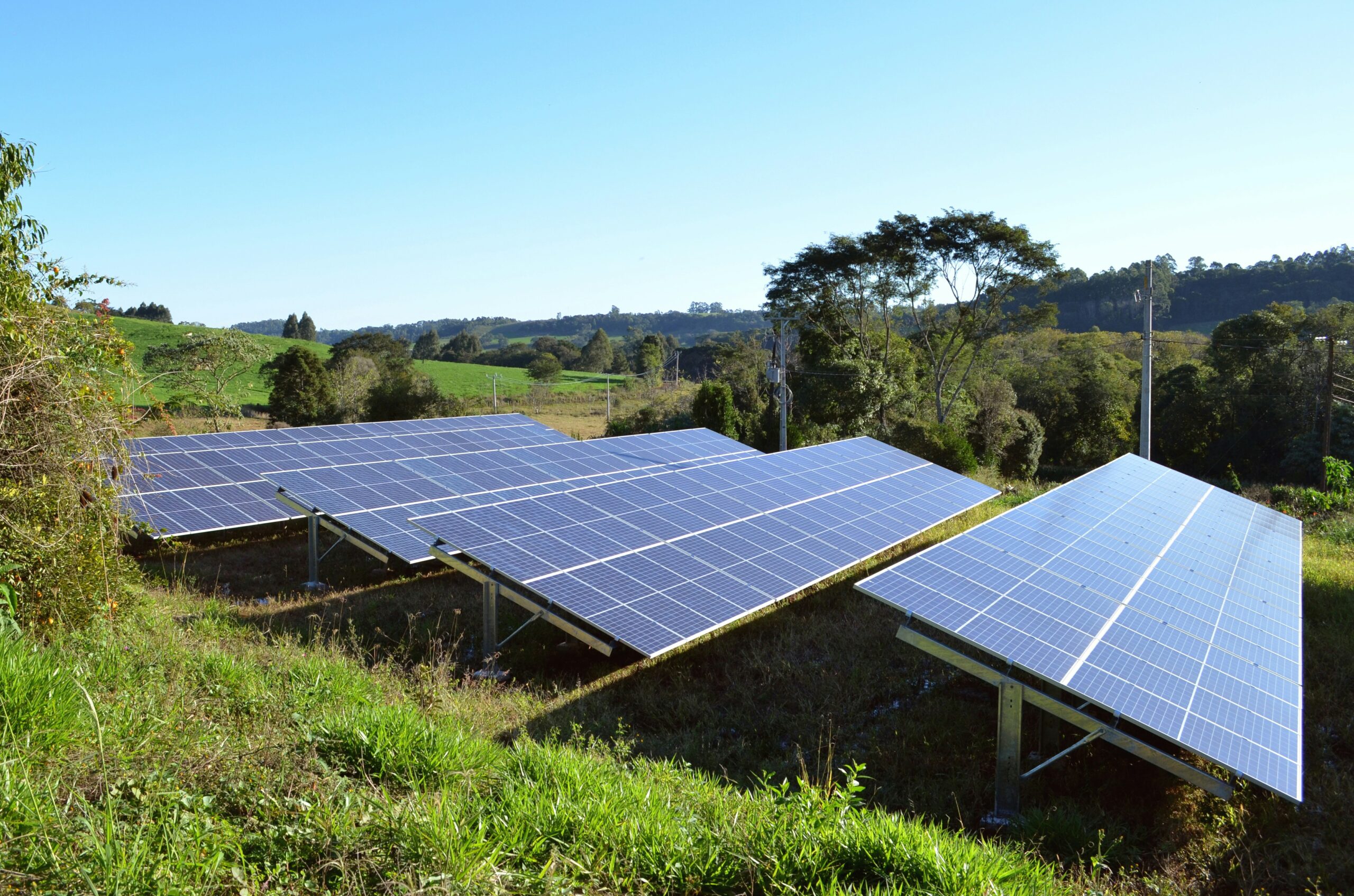 Solar panels in the field