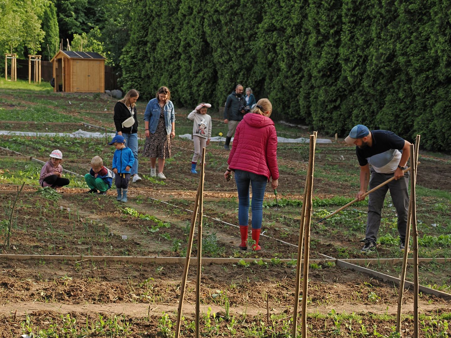 Cracow plot garden