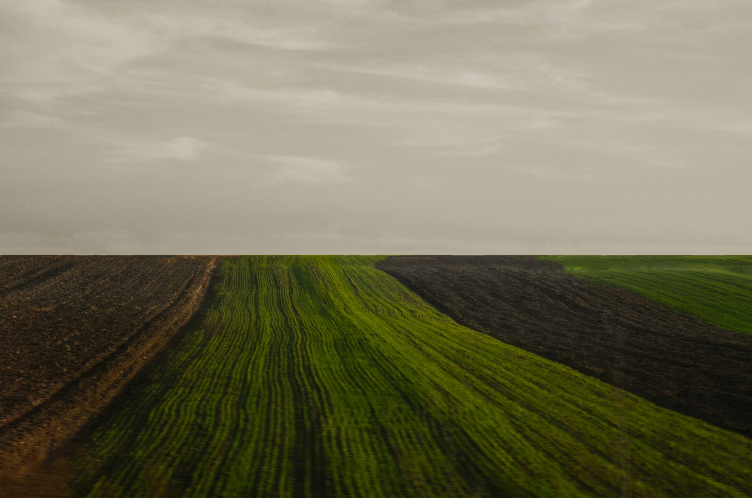 green field