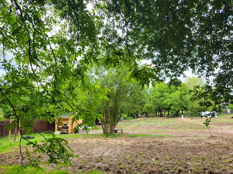 Cracow plot garden