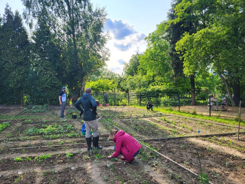 Cracow plot garden