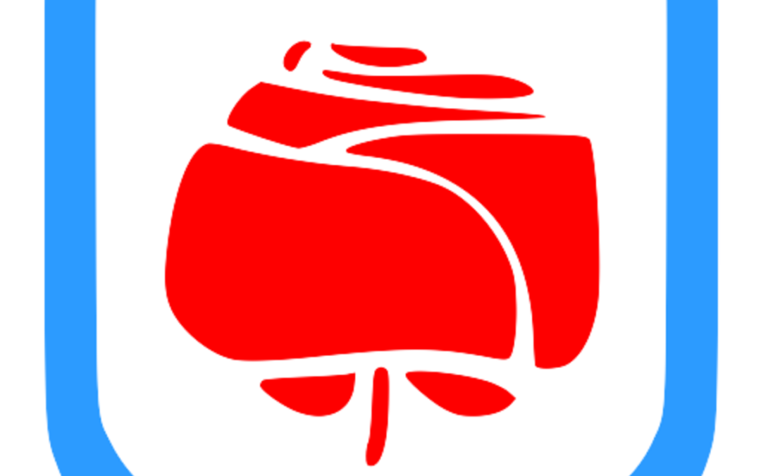 Vision Co-Creation Workshop